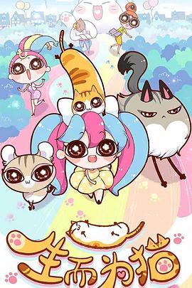 seo应聘会问些什么